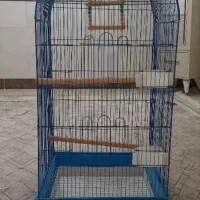 قفس