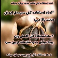 سیر سیاه اصل|خوردنی و آشامیدنی|شیراز, بهارستان|دیوار