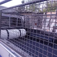 باربند مزدا 1600|قطعات یدکی و لوازم جانبی|کرج, محمود آباد|دیوار