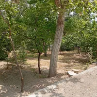 باغ بهشت/ در اسکو|فروش خانه و ویلا|اسکو, |دیوار