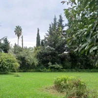 سرایداری و اشپزی