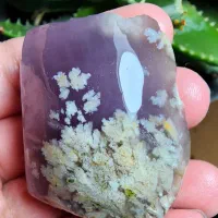 مجموعه ۵۵ عددی سنگ معدنی شجر جذاب قیمت همکاری