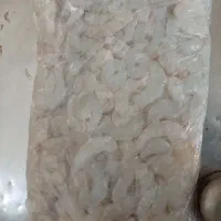 میگو پلویی پاک شده صید روز قایق