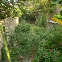 زمین بصورت کلی حدود۳۲۰متر یا قطعه ۱۴۰ متری|فروش زمین و ملک کلنگی|نیشابور, جمهوری|دیوار