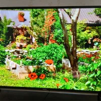 فروش تلویزیون سامسونگ۴۹|تلویزیون و پروژکتور|مرند, |دیوار