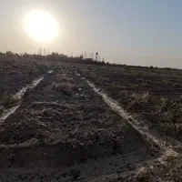 یه قطعه زمین حاصلخیز به متراژ ۵۰۰ متر مربع|فروش زمین و ملک کلنگی|تنکمان, |دیوار