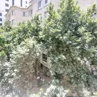 ۲۱۵ متر ۳ خواب خوش نقشه مناسب سرمایه گذاری|فروش آپارتمان|تهران, محمودیه|دیوار