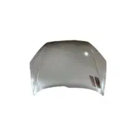 کاپوت نفره آیی 206