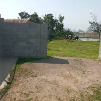 زمین ۲۰۰متری صومعه سرا روستای ندامان|فروش زمین و ملک کلنگی|کرج, شهرک فهمیده|دیوار
