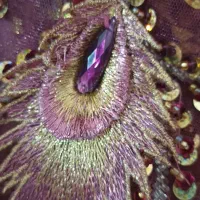 لباس مجلسی طاووسی|لباس|نیشابور, شهرک اندیشه|دیوار