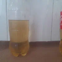 ریکا مخصوص ظرف روحی