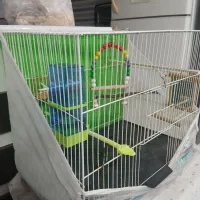 قفس پرنده نو نو