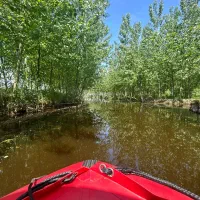 ویلا فول فرنیش شیک|فروش خانه و ویلا|کهنوج, |دیوار