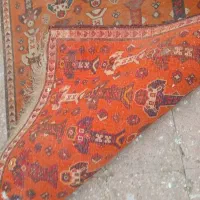 قالی دست بافت قدیمی|فرش|شیراز, ترمینال باربری|دیوار