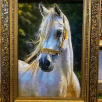 نیازمند بافنده ت ا ب ل وفرش در منزل