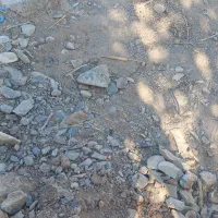 فروش زمین ۱۲قصب دلفارد