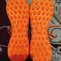 کفش|کیف، کفش، کمربند|بوشهر, |دیوار