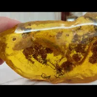 کهربای مهماندار