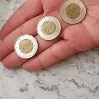 سه عدد سکه بای متال دو دلاری کانادا طرح خرسی|کلکسیون سکه، تمبر، اسکناس|تهران, یوسف‌آباد|دیوار