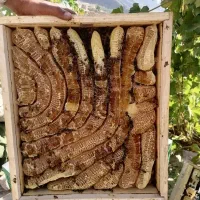 خوراکی