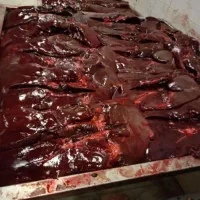 جگر گوساله جونه