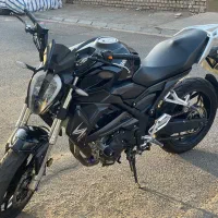 بلنتا ۳۰۰جفت