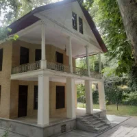 منشی خانم