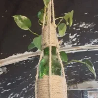 گلدان اویزی تزئینی وشیشه ای|صنایع دستی و سایر لوازم تزئینی|تفت, |دیوار