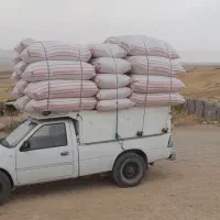 خریدو فروش کاه