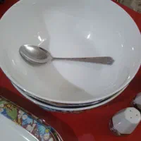 نوع جنس چینی آلمانی بسیارزیبا