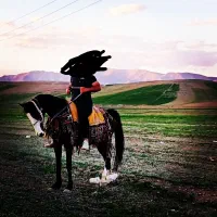 مادیان شش دانگ با کره ۵روزه