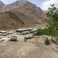 استراحت و تفریح خانوادگی در تنها مجتمع جنگلی یزد|تور و چارتر|یزد, |دیوار