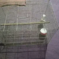 قفس نونو