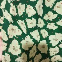 لباس محلی با چادر و کفش|لباس|یاسوج, |دیوار