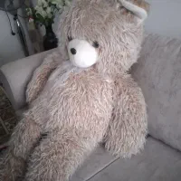 خرس بزرگ