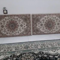 پشتی|پشتی|فردیس, فردیس|دیوار