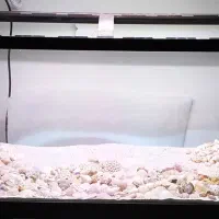 آکواریوم شرکتی خارجی