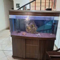 آکواریوم شیشه خم ماهیران