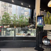 صندوقدار خانم