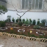 خدمات باغبانی سرویس در تمام نقاط تهران