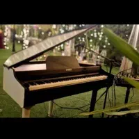 اجاره پیانو گرند با نوازنده پیانو وخواننده|خدمات پذیرایی، مراسم|تهران, بهجتآباد|دیوار