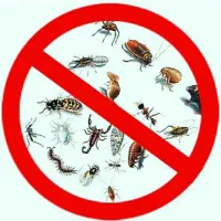 سمپاشی منازل سوسک ساس و.. صد درصد تضمینی|خدمات نظافت|تهران, صادقیه|دیوار