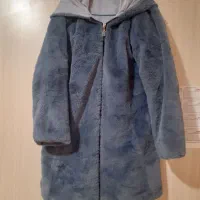 دو عدد پالتو خز