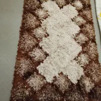 شگی درجه یک درحد نو