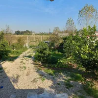 اجاره شبانه سوییت ۴۰ متری در باغ ۱۰۰۰ متری دربست|اجارهٔ کوتاه‌مدت آپارتمان و سوئیت|قائم‌شهر, |دیوار