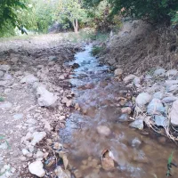 فروش یک قطعه باغ میوه