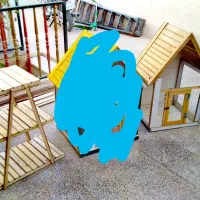 جفت کن چوبی محکم تمیز و قفس چوبی کلبه ای نو|لوازم جانبی حیوانات|میبد, |دیوار