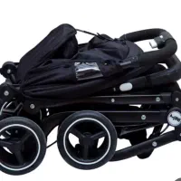 کالسکه چمدانی دلیجان( کمجا)