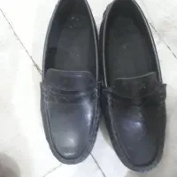 کفش کالج نو نو اصلا استفاده نشده|کیف، کفش، کمربند|زنجان, |دیوار