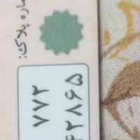 پلاک گم شده